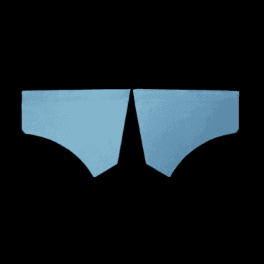 Front Scuttle Panels (Pair) BLUE/GREY