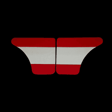 Interior Door Panels-Rear-4-Door 1962-64 (RED DUO-TONE) Pair
