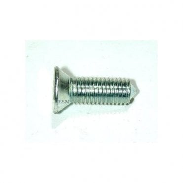 Screw - 5/16" BSF (Hinge To Door) Countersunk