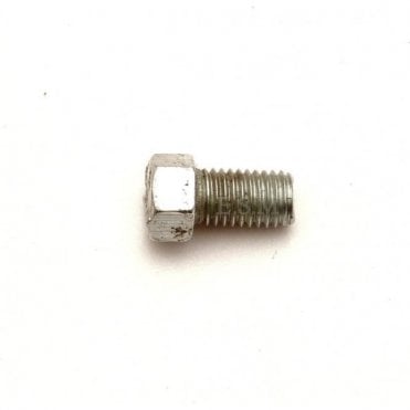 Screw-Brake Cylinder To Back Plate (Small Head) Original